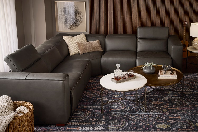 Image of City Chic collection in a room scene