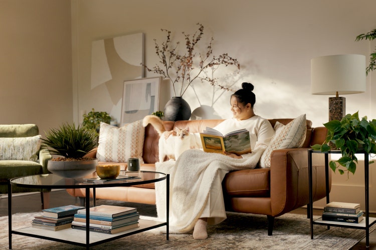 Image of the Centennial sofa in a room scene