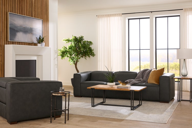 Image of City Chic collection in a room scene