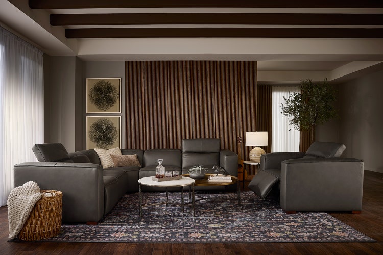 Image of City Chic collection in a room scene